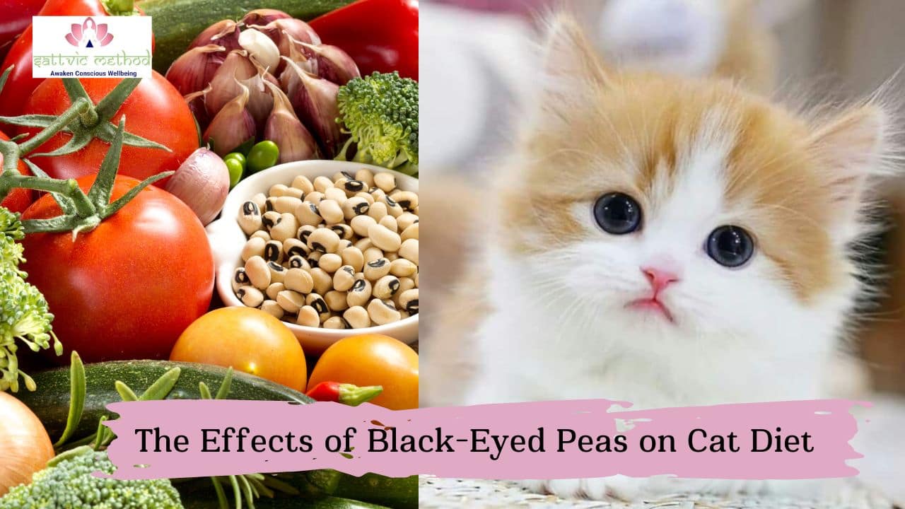 You are currently viewing <strong>Purr-fectly Safe or Paw-sibly Harmful? Understanding the Effects of Black-Eyed Peas on Cat Diet</strong>