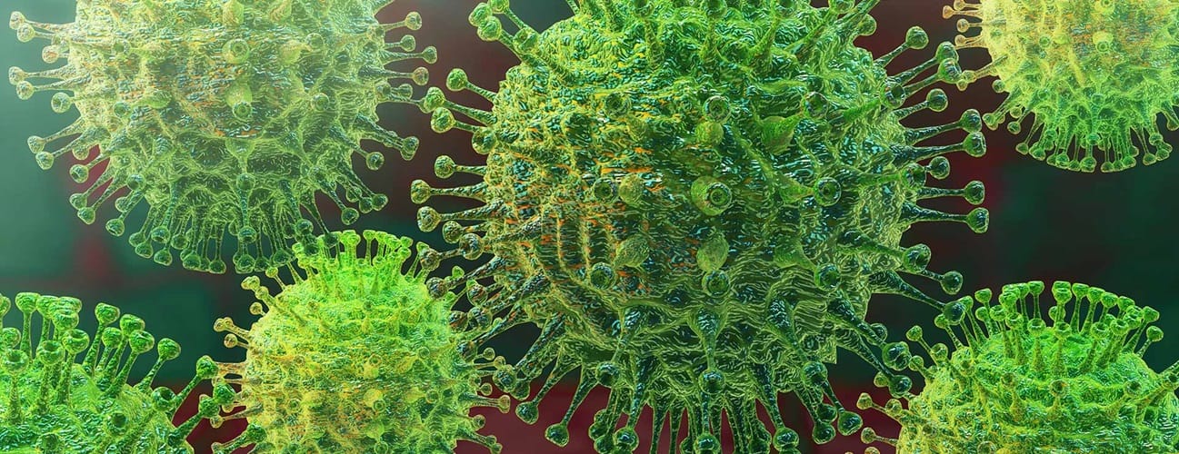 You are currently viewing Coronavirus and Rasam