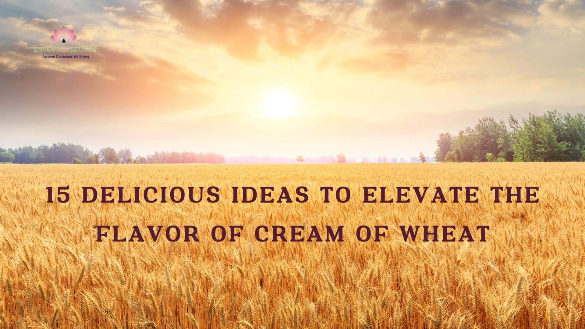 You are currently viewing 15 Delicious Ideas to Elevate the Flavor of Cream of Wheat