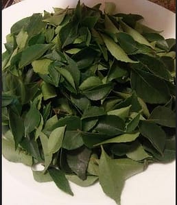 Read more about the article Remarkable Secrets of Curry Leaves