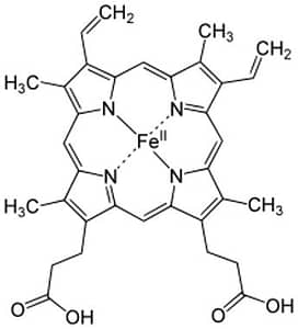 Read more about the article Iron-rich Sattvic foods