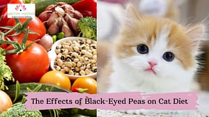 Read more about the article <strong>Purr-fectly Safe or Paw-sibly Harmful? Understanding the Effects of Black-Eyed Peas on Cat Diet</strong>
