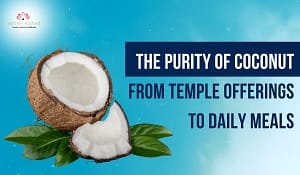 Read more about the article The Purity of Coconut
