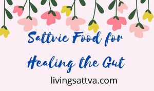 Read more about the article Sattvic Food for Healing the Gut