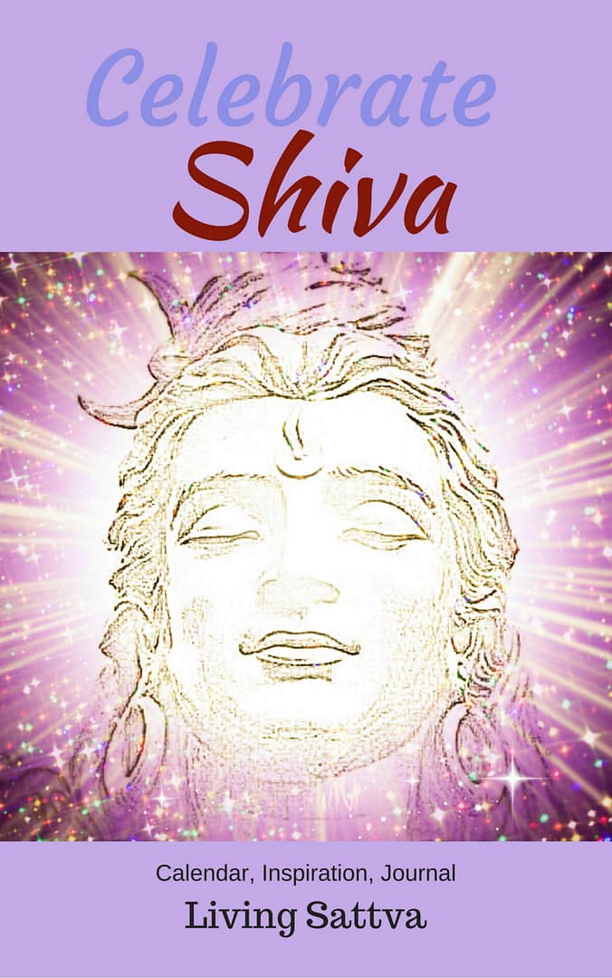 You are currently viewing From Darkness to Light with Shiva